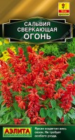 Сальвия сверкающая Огонь, (Аэлита)