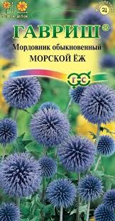 Мордовник Морской еж, 0,3 г. (Гавриш)