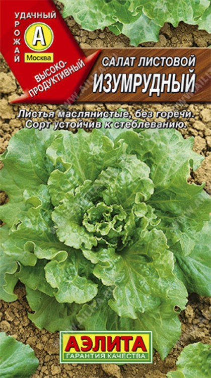 Салат Изумрудный, (Аэлита)
