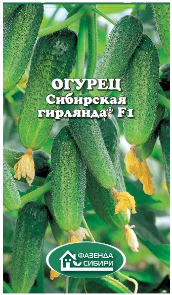 Огурец Сибирская гирлянда F1, 5 шт.