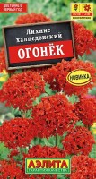 Лихнис Огонек многолетний 0,1 г (Аэлита)