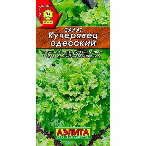 Салат полукочанный Кучерявец одесский, (Аэлита)