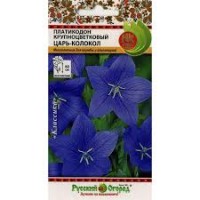 Платикодон Царь-колокол крупнцветковый, 8 шт. (НК)