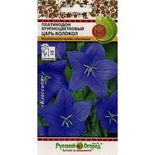 Платикодон Царь-колокол крупнцветковый, 8 шт. (НК)