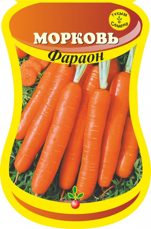 Морковь Фараон (сем. Россия) 1 г.