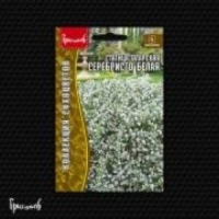 Статица Серебристо-белая татарская, 10 шт. (Ред. сем)
