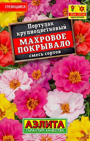 Портулак Махровое покрывало, смесь (Аэлита)