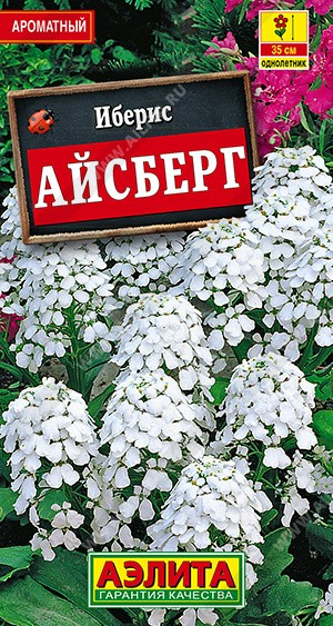 Иберис Айсберг (Аэлита)