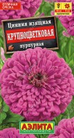 Цинния крупноцветковая Пурпурная, (Аэлита)