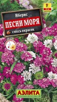 Иберис Песни моря (Аэлита)
