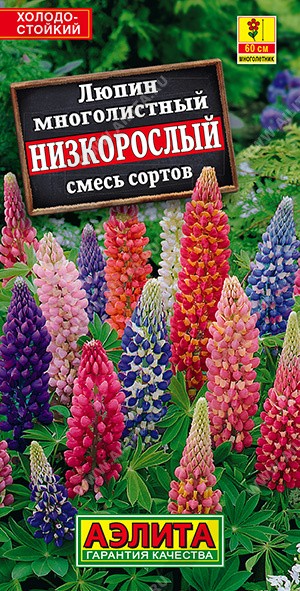 Люпин низкорослый Смесь (Аэлита)