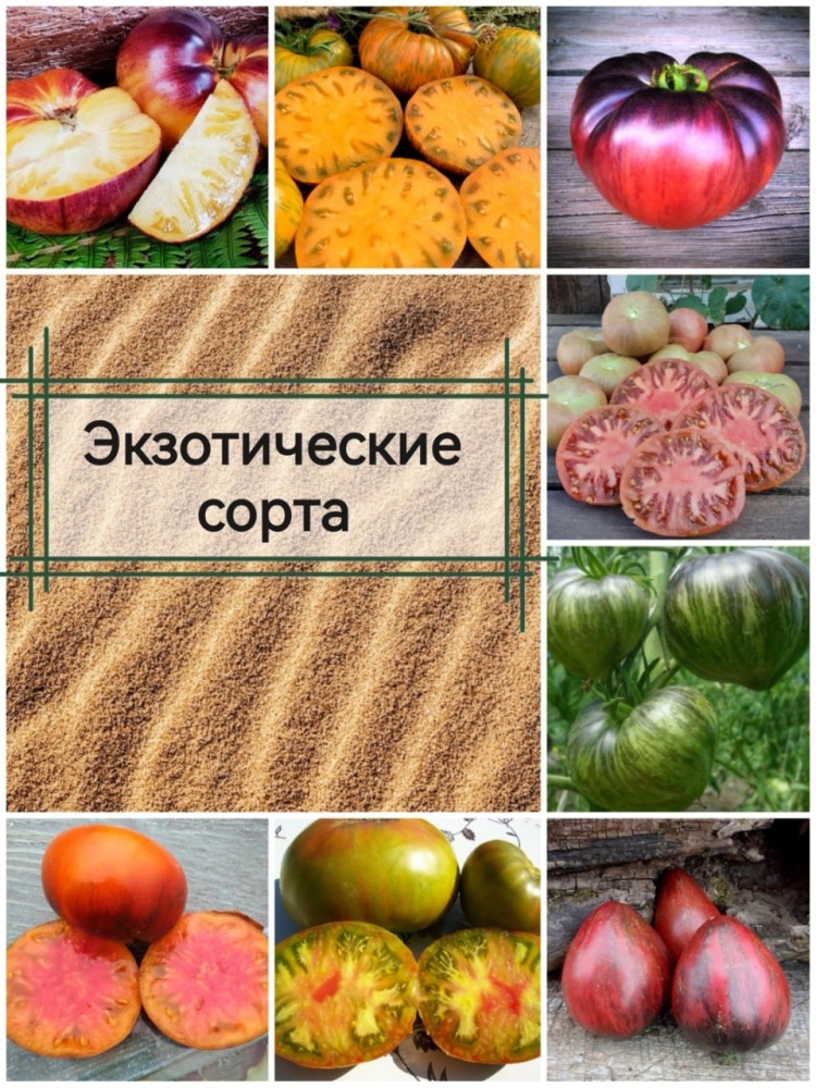 ТОМАТ